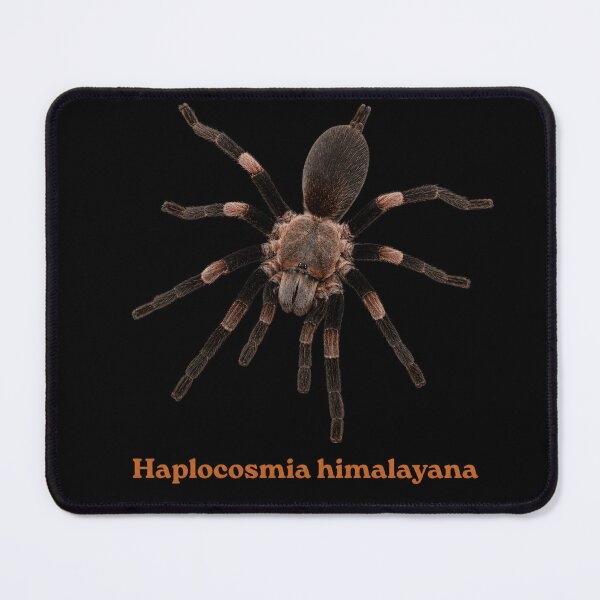 Item preview, Haplocosmia himalayana SP-011 designed and sold by Exotic-Atlas.