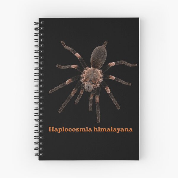 Item preview, Haplocosmia himalayana SP-011 designed and sold by Exotic-Atlas.