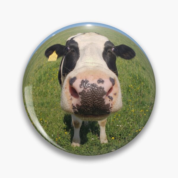 Item preview, Fisheye cow designed and sold by MW-Farm.