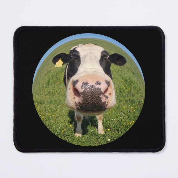 Item preview, Fisheye cow designed and sold by MW-Farm.