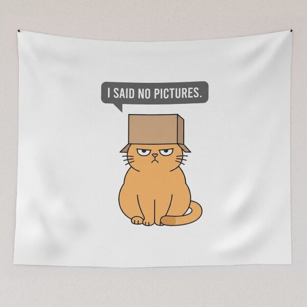 Item preview, Grumpy Orange Cat Wearing Box Saying No Pictures designed and sold by Owcomm.