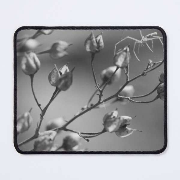 Item preview, Arachnid Branch Spider, Macro nature designed and sold by MeadVera.