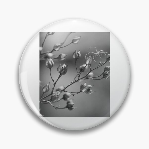 Item preview, Arachnid Branch Spider, Macro nature designed and sold by MeadVera.
