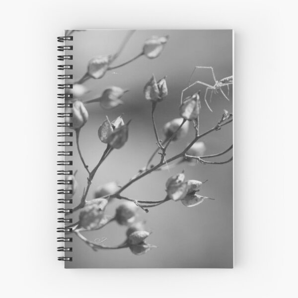 Item preview, Arachnid Branch Spider, Macro nature designed and sold by MeadVera.