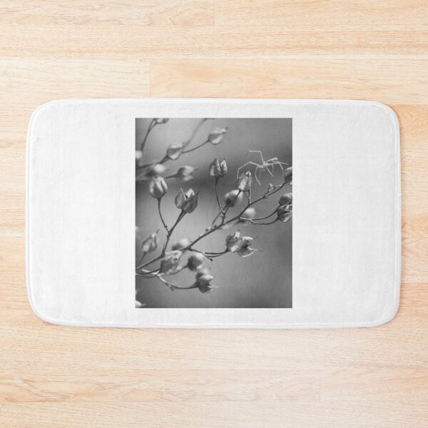 Item preview, Arachnid Branch Spider, Macro nature designed and sold by MeadVera.