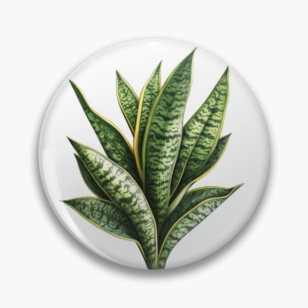 Item preview, Snake Plant designed and sold by Primary Design & Trade.
