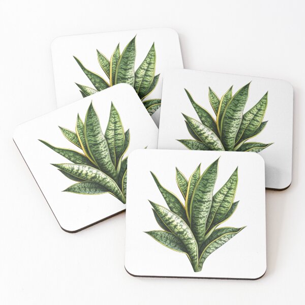 Item preview, Snake Plant designed and sold by Primary Design & Trade.