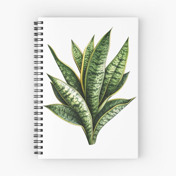 Item preview, Snake Plant designed and sold by Primary Design & Trade.
