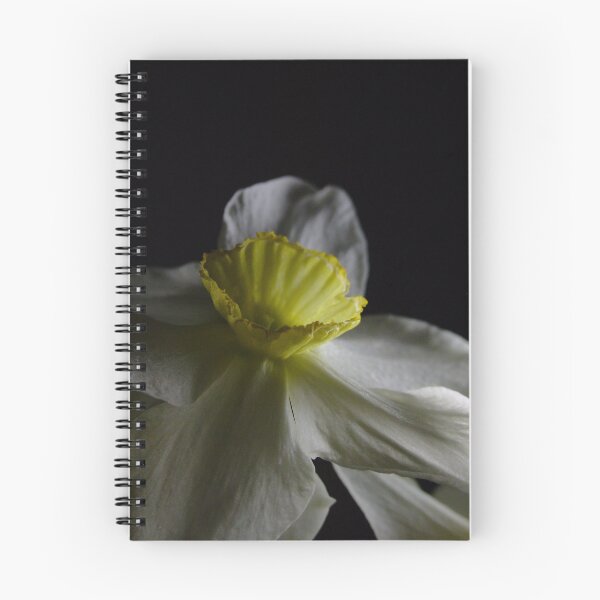 Item preview, Midnight Daffodil designed and sold by arukr.