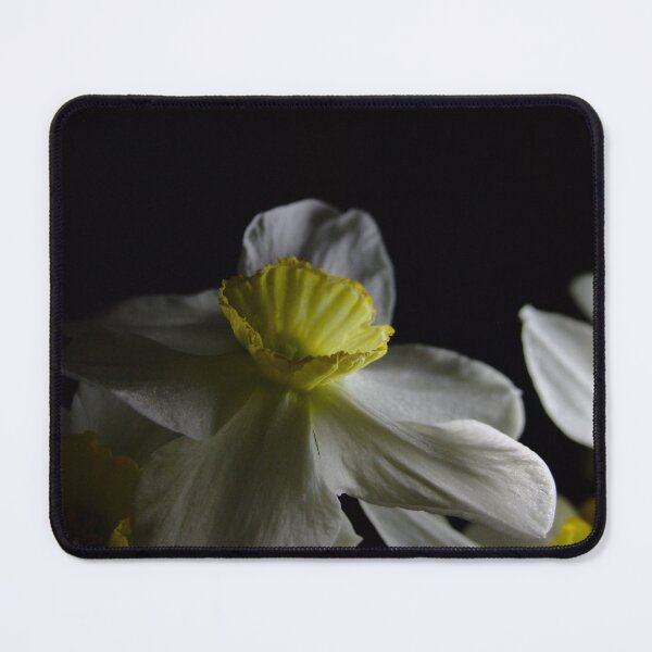 Item preview, Midnight Daffodil designed and sold by arukr.