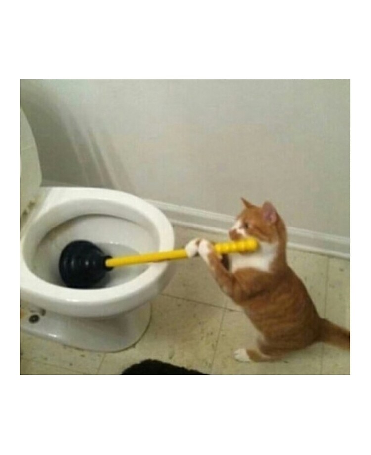 Plunger Cat\