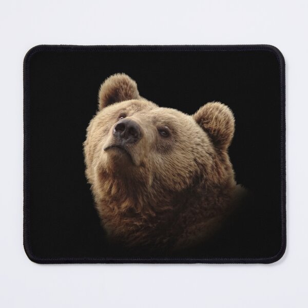 Item preview, Brown Bear designed and sold by Guardi71.