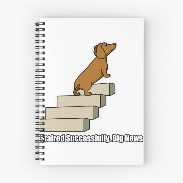 Item preview, Dachshund - Staired Successfully Big News - Funny Dachshund Gift designed and sold by pawdrops.