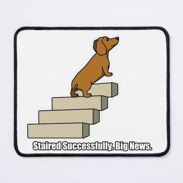 Item preview, Dachshund - Staired Successfully Big News - Funny Dachshund Gift designed and sold by pawdrops.