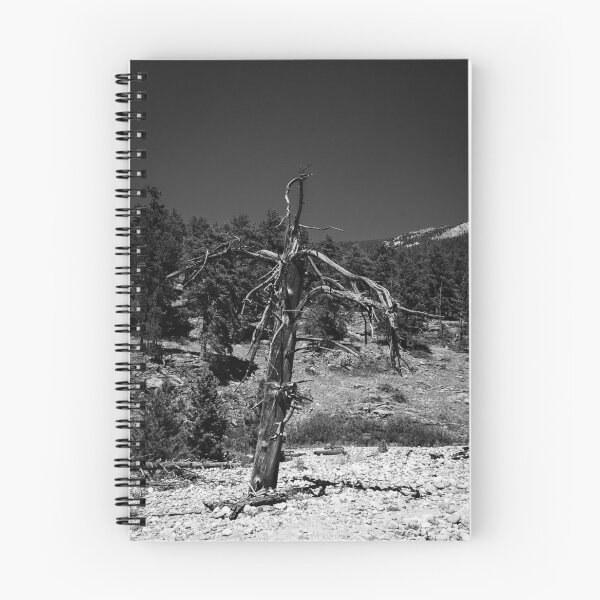 Item preview, The Snag, Rocky Mountain National Park designed and sold by Douglas E. Welch Design and Photography.