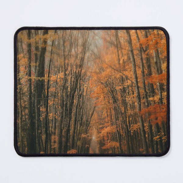 Item preview, Enchanting Autumn Forest Path designed and sold by PygmyTitan Photo.
