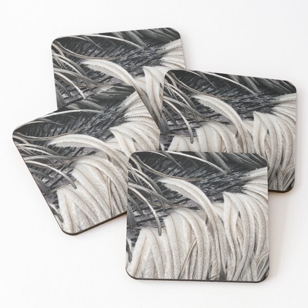 Item preview, Black and White Emu Feather Texture | Beale Wildlife Park designed and sold by Tessera Co.