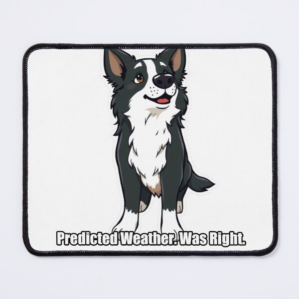 Item preview, Border Collie - Predicted Weather Was Right - Funny Border Collie Gift designed and sold by pawdrops.