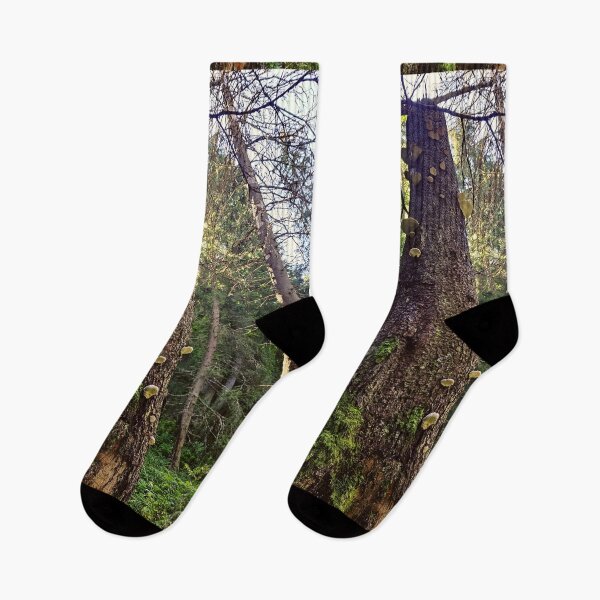Item preview,     Life on the Forest Trunk designed and sold by DiaSinama.