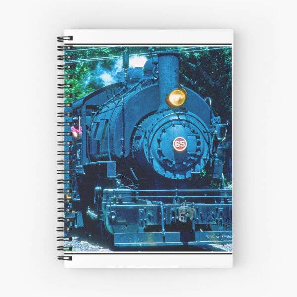 Item preview, Kempton, Pennsylvania, July 17, 1996, Steam Train Locomotive designed and sold by AMacGPhilly.