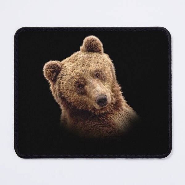 Item preview, Brown Bear designed and sold by Guardi71.