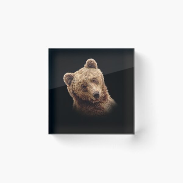 Artikelvorschau, Braunbär entworfen und verkauft von Guardi71.