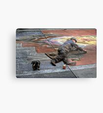 Paris street artist Metal Print