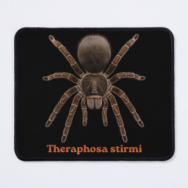 Item preview, Theraphosa stirmi SP-017 designed and sold by Exotic-Atlas.