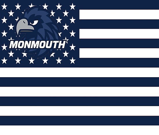 MONMOUTHSHIRE CUSTOM MADE TO ORDER VARIOUS FLAG SIZES