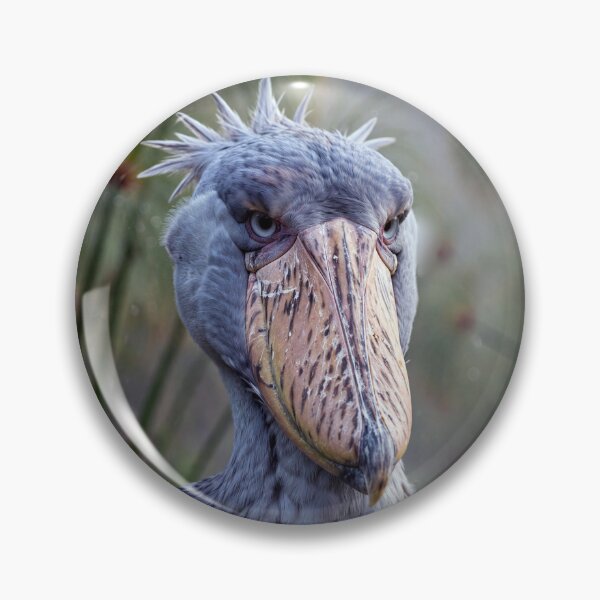 Item preview, Shoebill designed and sold by Savannah Gibbs.