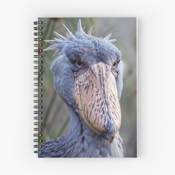 Item preview, Shoebill designed and sold by Savannah Gibbs.