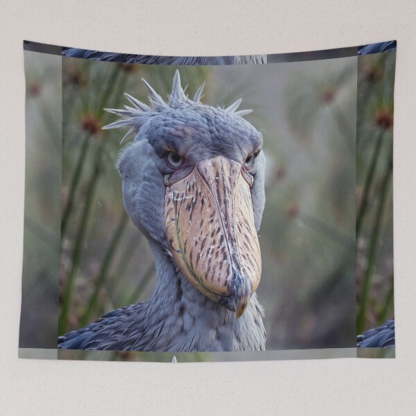Item preview, Shoebill designed and sold by Savannah Gibbs.