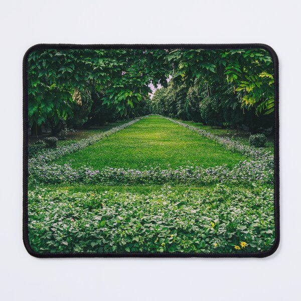 Item preview, Cișmigiu Garden Frame designed and sold by Rabee Khalil Photography.