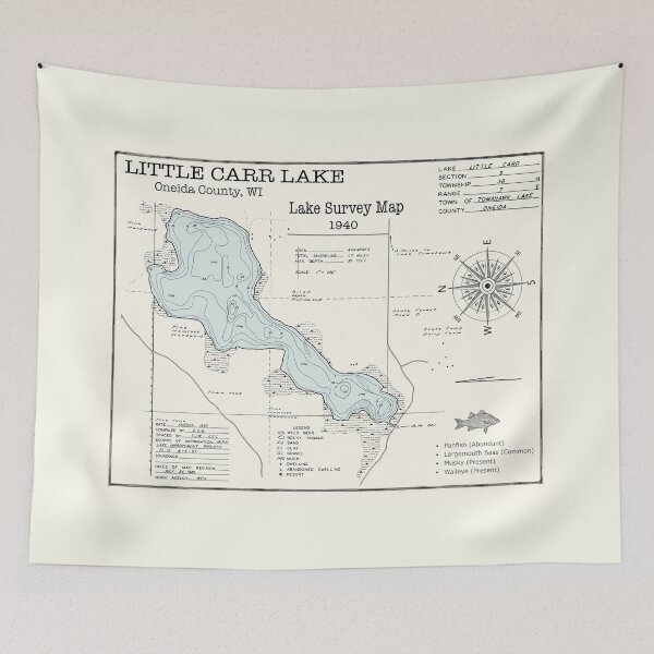 Item preview, Little Carr Lake - Oneida County WI  designed and sold by Jean Plout.