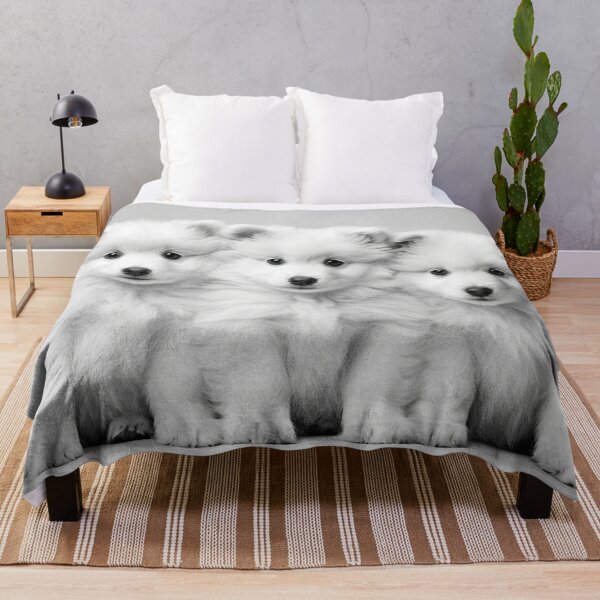 Item preview, The Three Little White Spitz Puppies designed and sold by djovan.