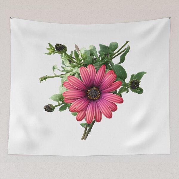 Item preview, African daisy(AI + photography) designed and sold by artsmeow.