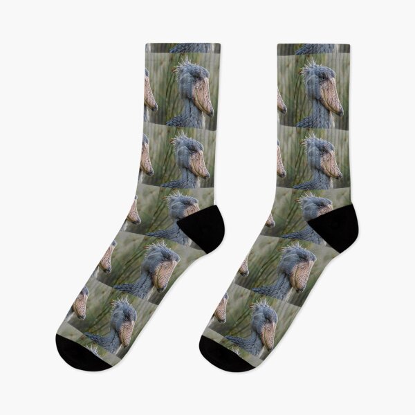 Item preview, Shoebill Stork Close-up Portrait designed and sold by Savannah Gibbs.