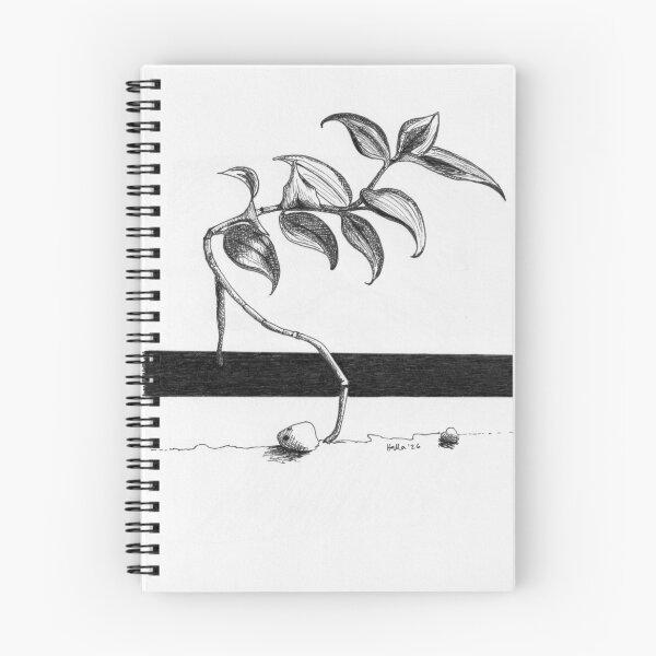 Item preview, Pen drawing of a stalk with leaves designed and sold by Gallery Halla.