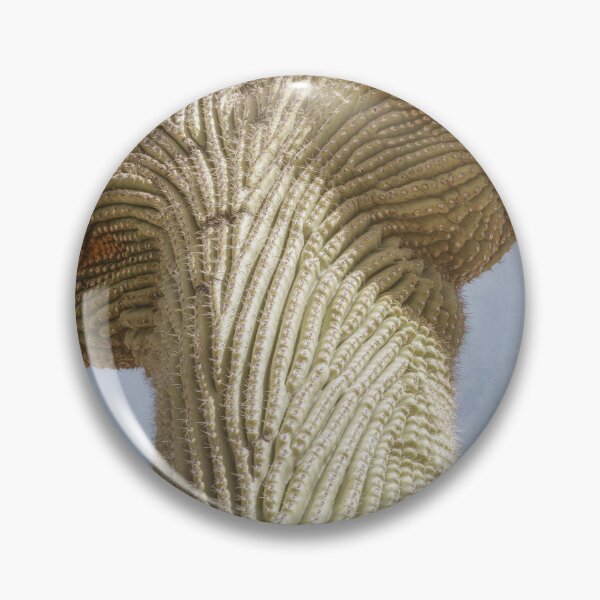 Item preview, Cristate Saguaro Cactus designed and sold by PhotoArt by Joan Carroll.