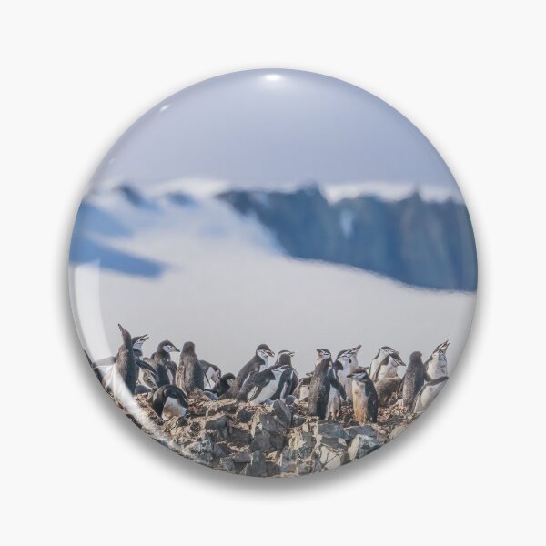 Item preview, Chinstrap Penguin Colony at Half Moon Island 2 designed and sold by PhotoArt by Joan Carroll.