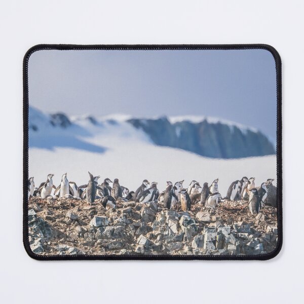 Item preview, Chinstrap Penguin Colony at Half Moon Island 2 designed and sold by PhotoArt by Joan Carroll.
