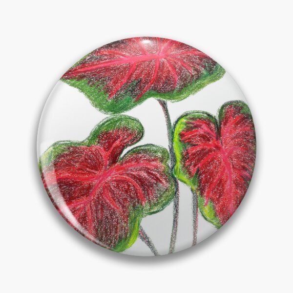 Item preview, Vibrant Caladium hearts colored pencil botanical ilustration designed and sold by Dina's Fine Arts.