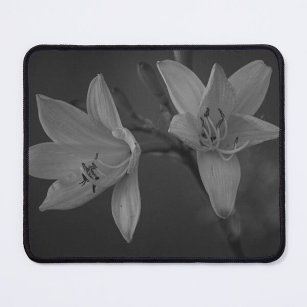Item preview, Nocturnal Lily Blossom, Botanical designed and sold by GaynorMelody.