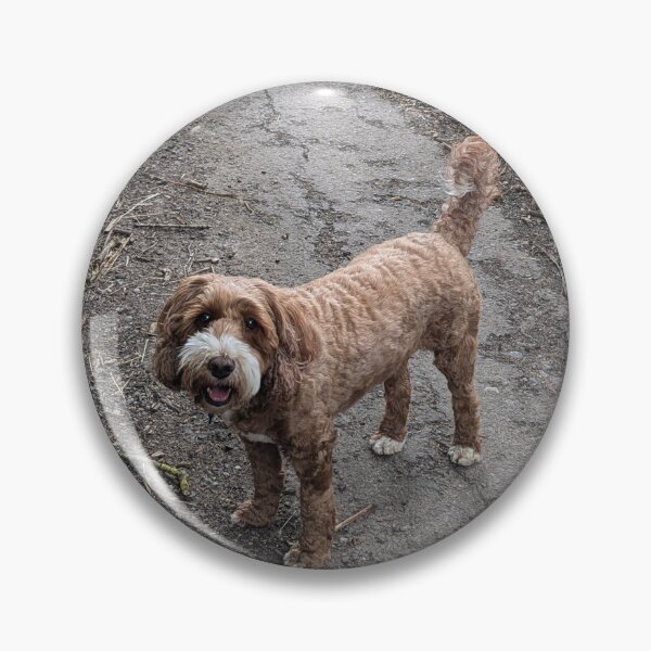 Item preview, Cockapoo Bean in the countryside  designed and sold by LifeLookingCloser.