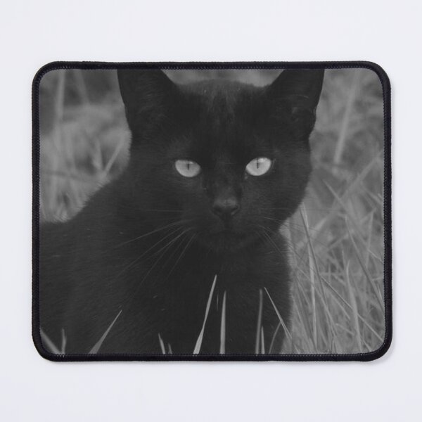Item preview, Feline Gaze Cat designed and sold by GaynorMelody.