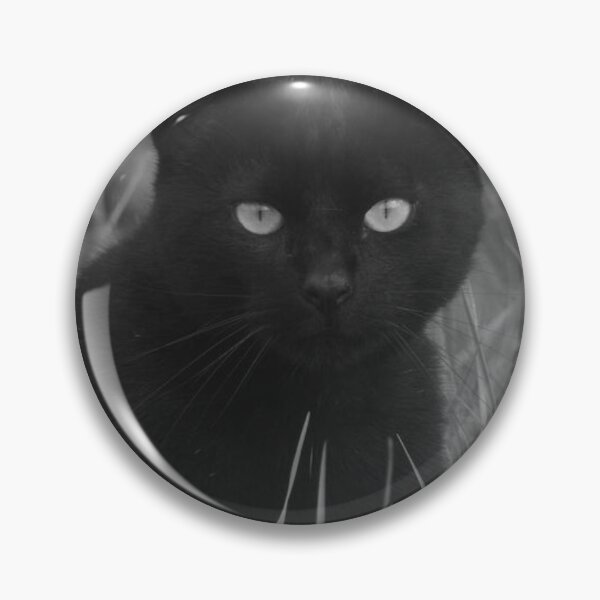 Item preview, Feline Gaze Cat designed and sold by GaynorMelody.