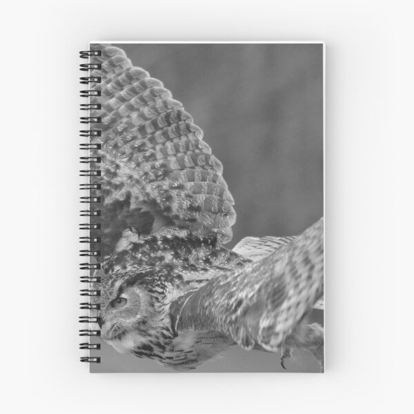 Item preview, Nocturnal Strike Owl, Raptor designed and sold by GaynorMelody.