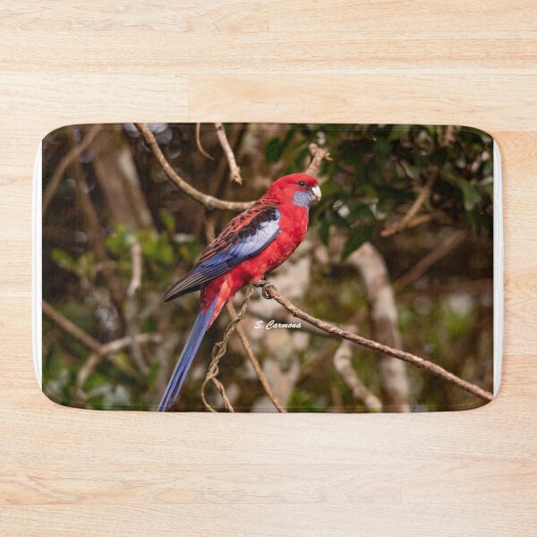 Item preview, Crimson Rosella Australian Parrot Nature Photography designed and sold by AuraInkSC.