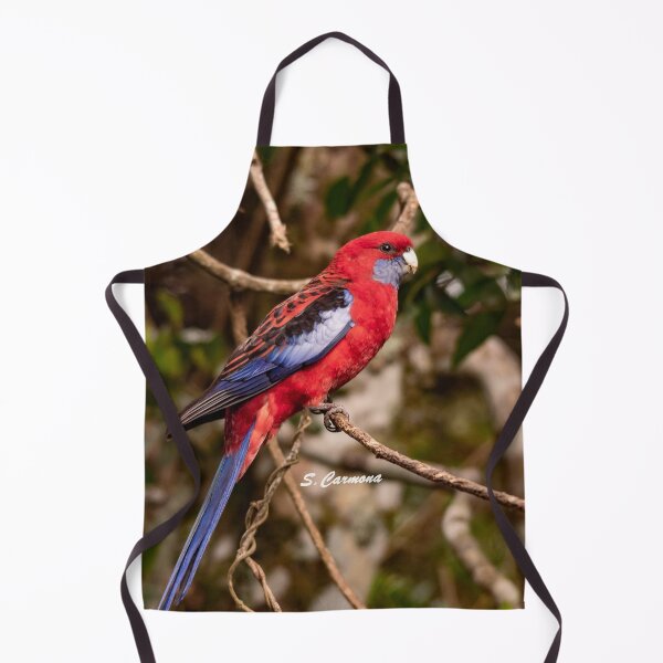 Item preview, Crimson Rosella Australian Parrot Nature Photography designed and sold by AuraInkSC.