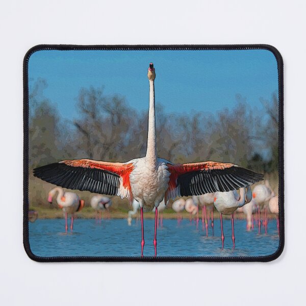 Item preview, Pink flamingo (Camargue) designed and sold by NorbertRicaud.